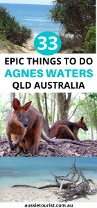 THINGS-TO-DO-AGNES-WATERS