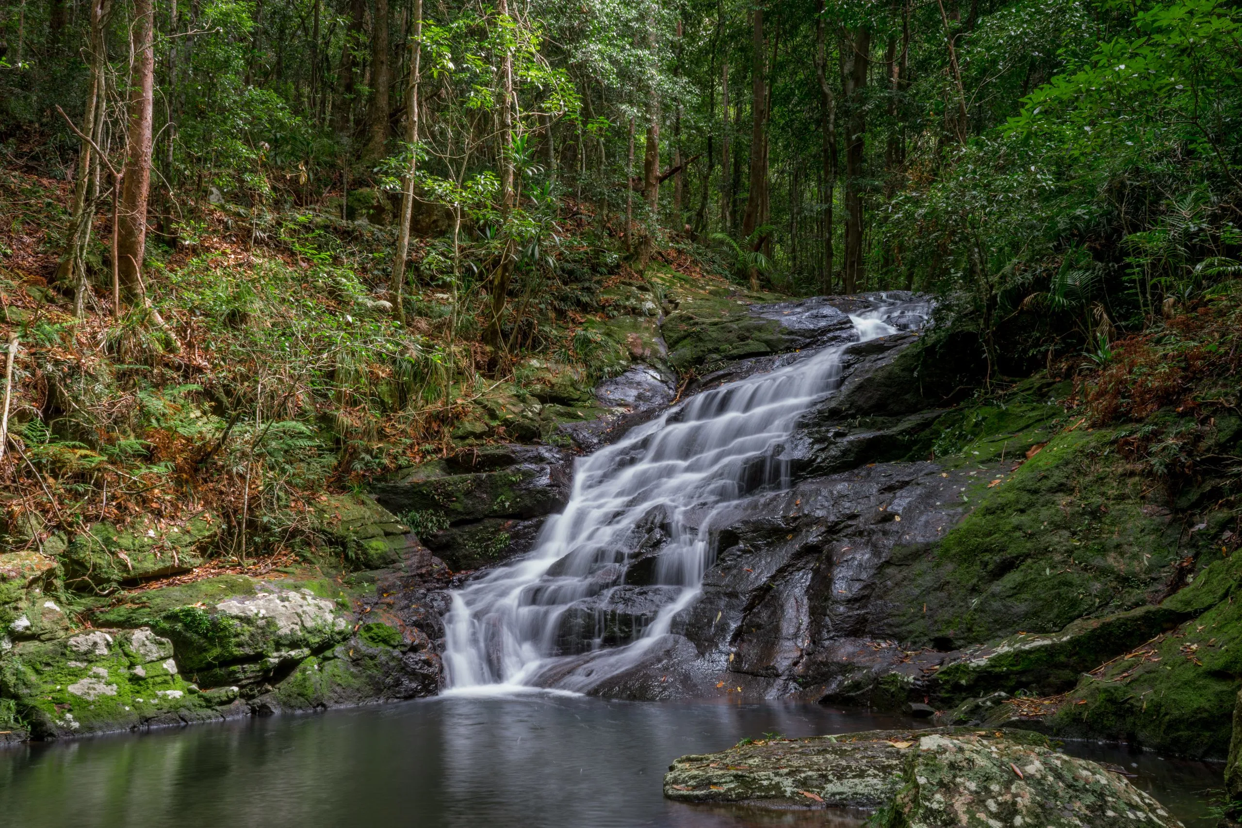 Kondalilla Falls