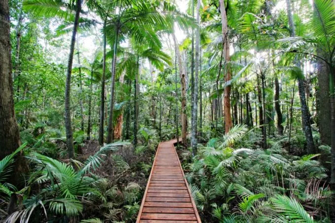 cairns-botanical-gardens