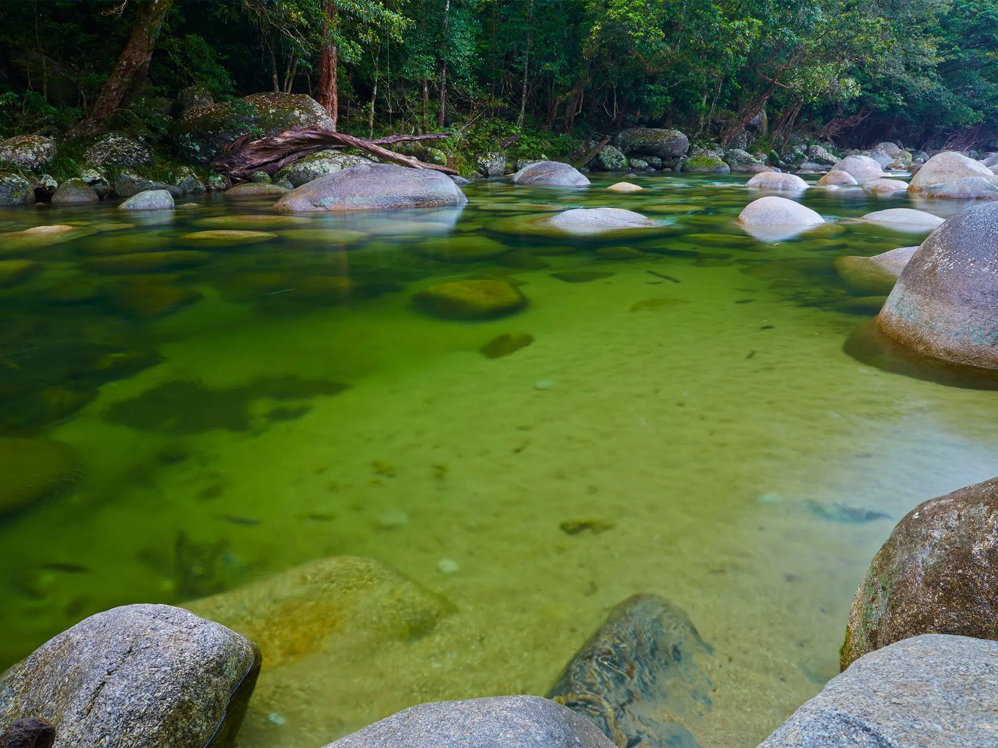 daintree-mossman-gorg