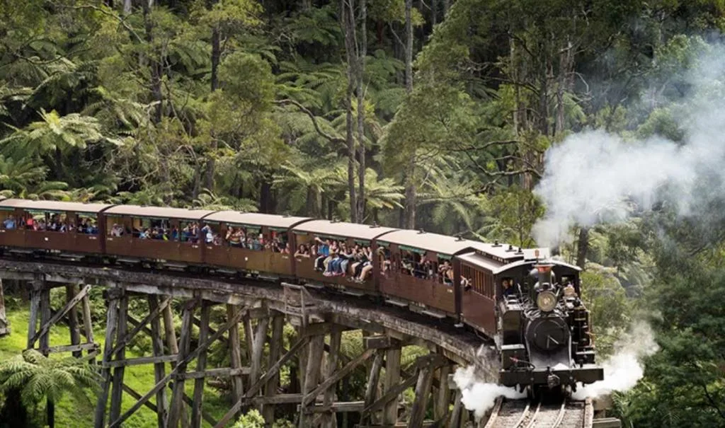 Dandenong Ranges