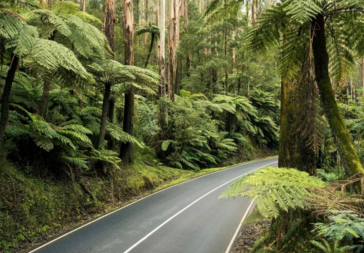 day trips from melbourne winter