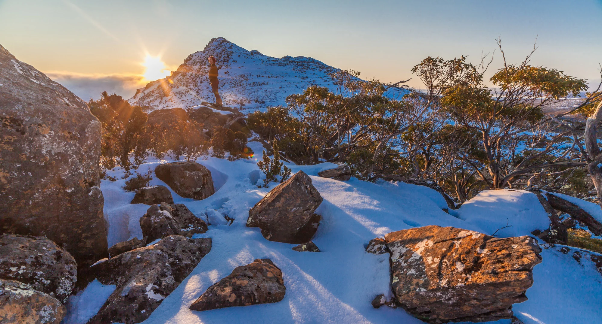 Mount Field National Park
