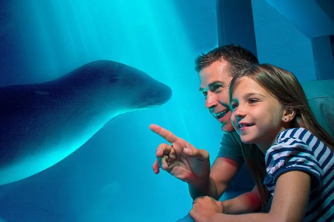 activities-to-do-in-mooloolaba-with-kids