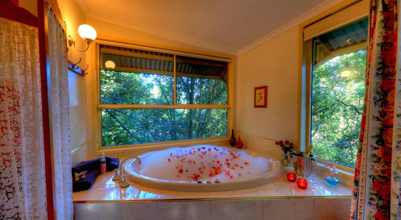 best-place-stay-couples-sunshine-coast-hinterland