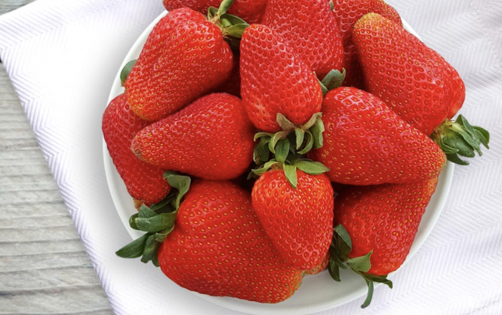 things-to-do-in-stanthorpe-pick-your-own-strawberries