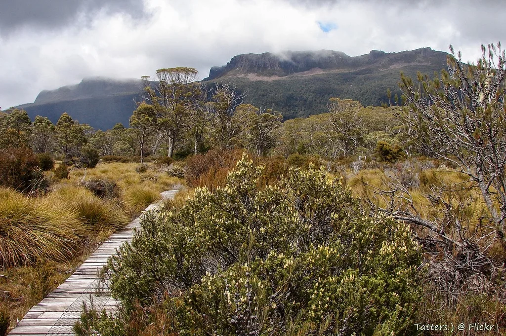 Overland-Track
