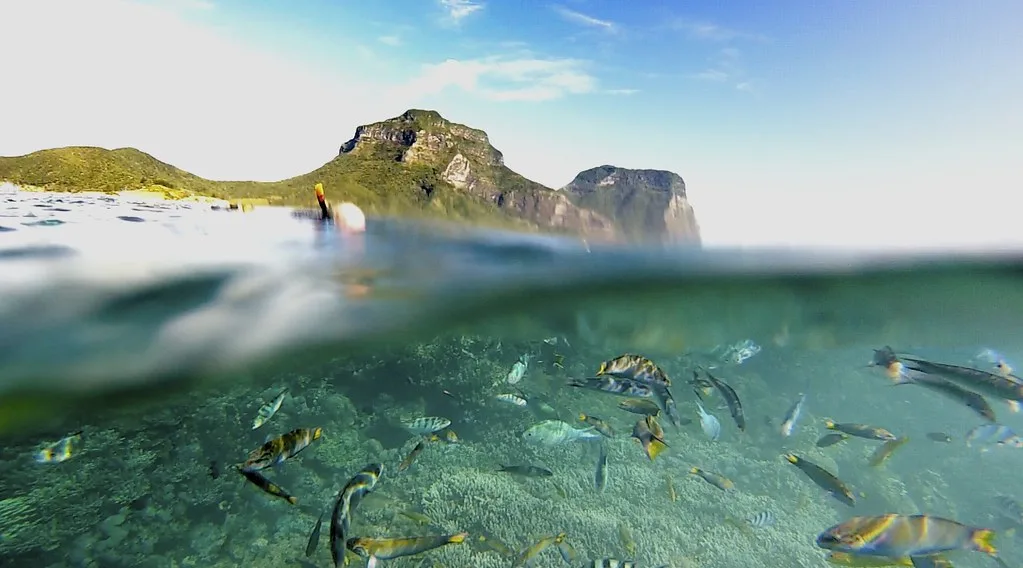 lord-howe-island