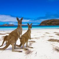 lucky-bay