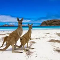 lucky-bay