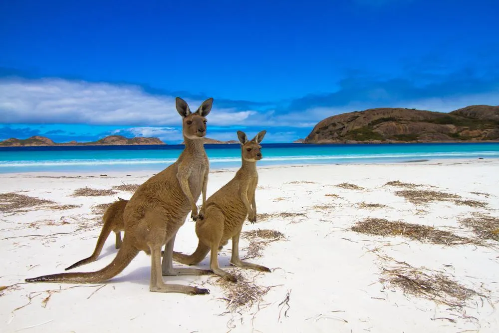 lucky-bay