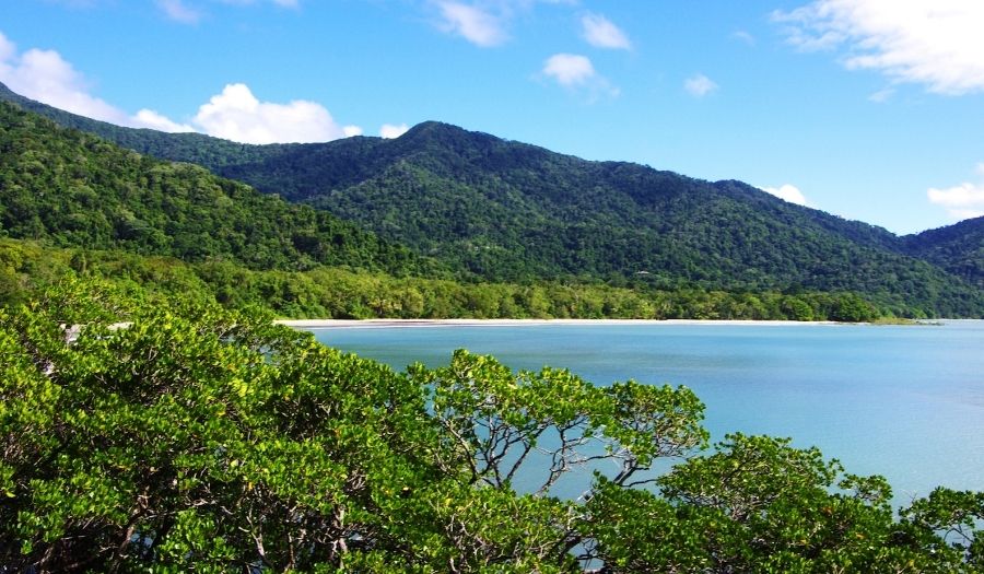 Daintree-Rain-Forest-Australia