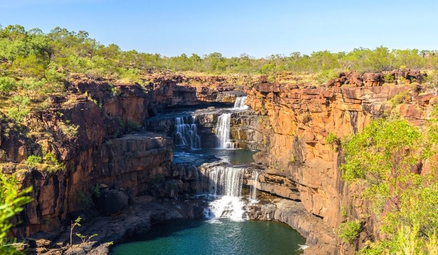 Mitchell-River-National-Park-Australia-Rain-Forest