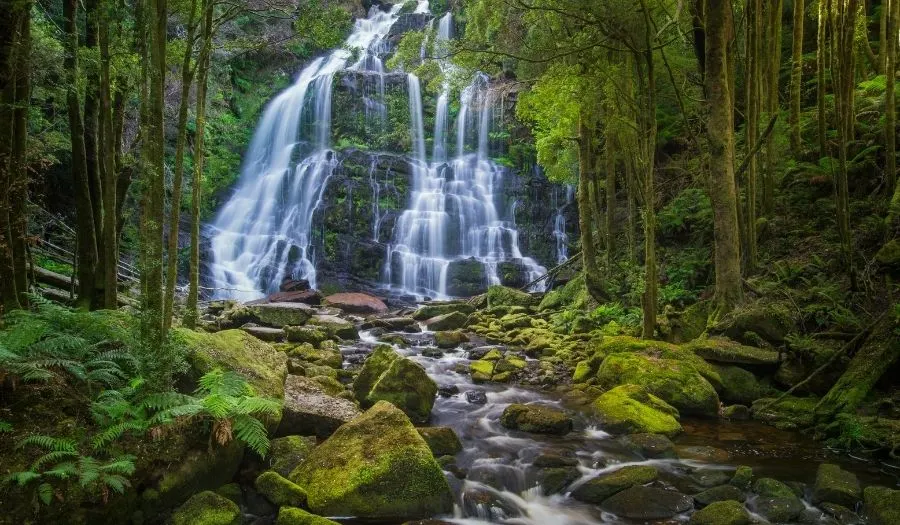 Nelson-Falls-Australia-Rain-Forest